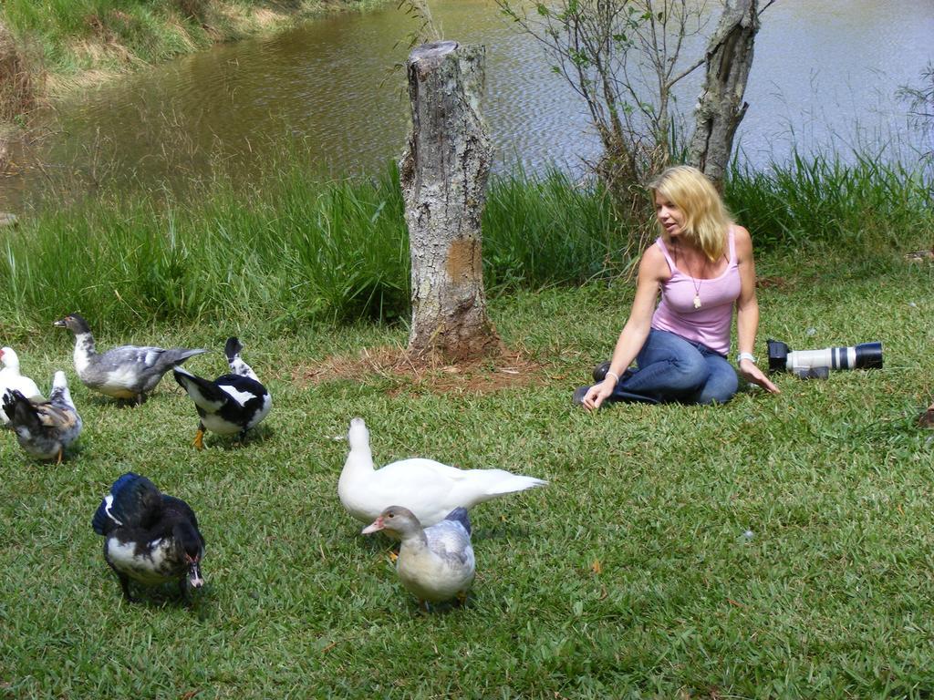 Lake Eacham Tourist Park & Cabins Ngoại thất bức ảnh