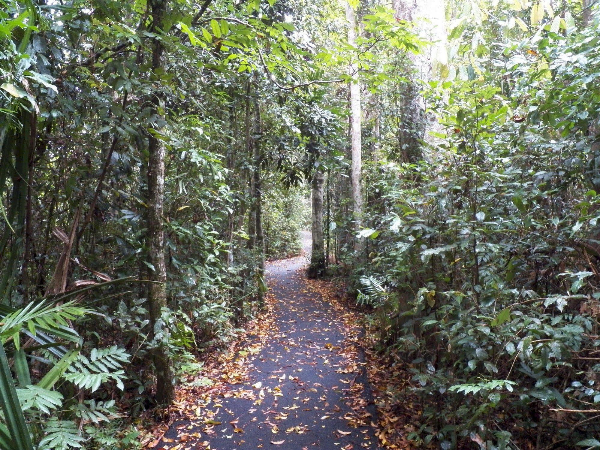Lake Eacham Tourist Park & Cabins Ngoại thất bức ảnh