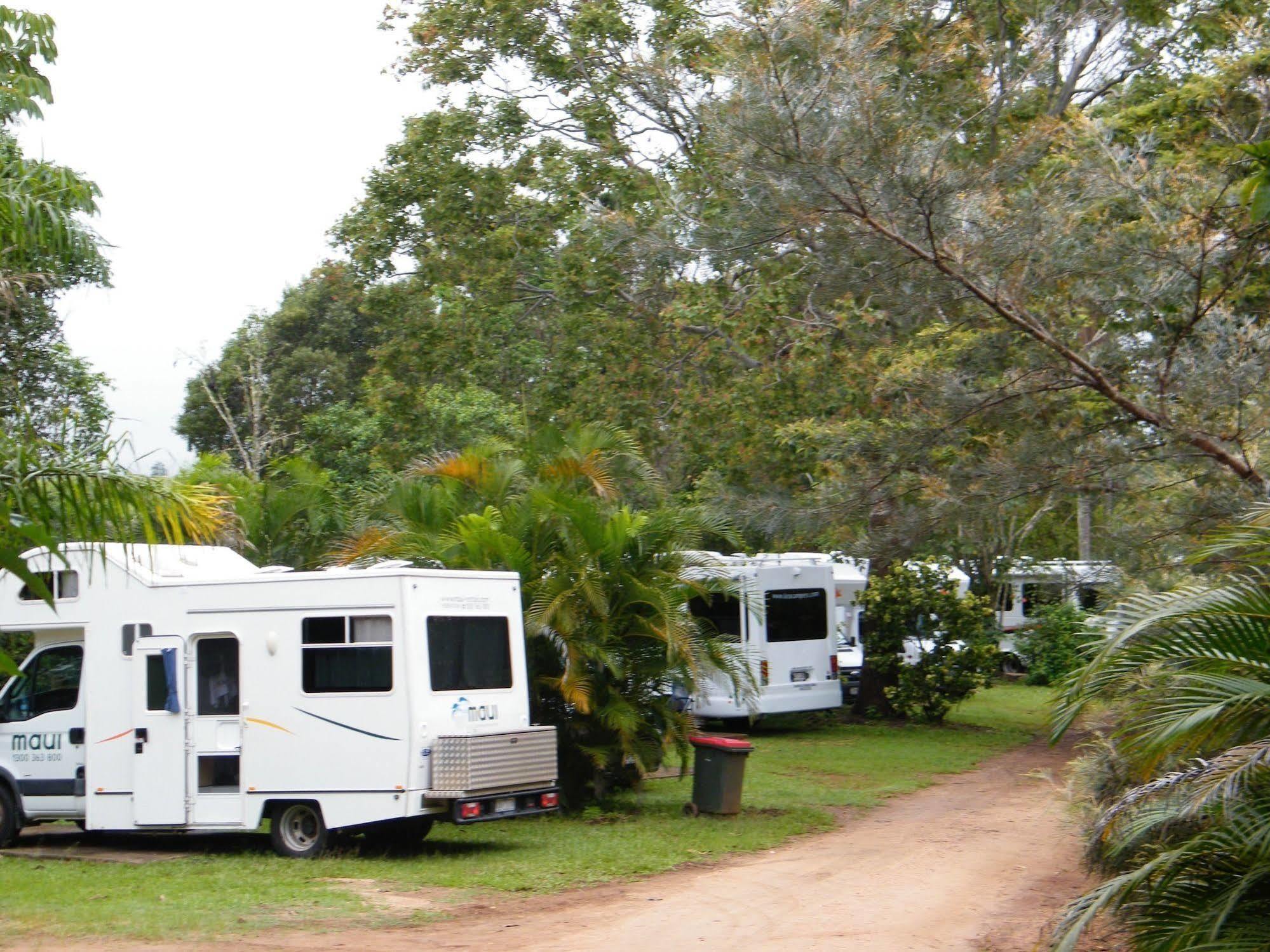 Lake Eacham Tourist Park & Cabins Ngoại thất bức ảnh